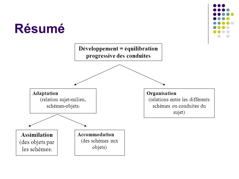 Psychologie du d veloppement Licence 2 me ann e ppt video online